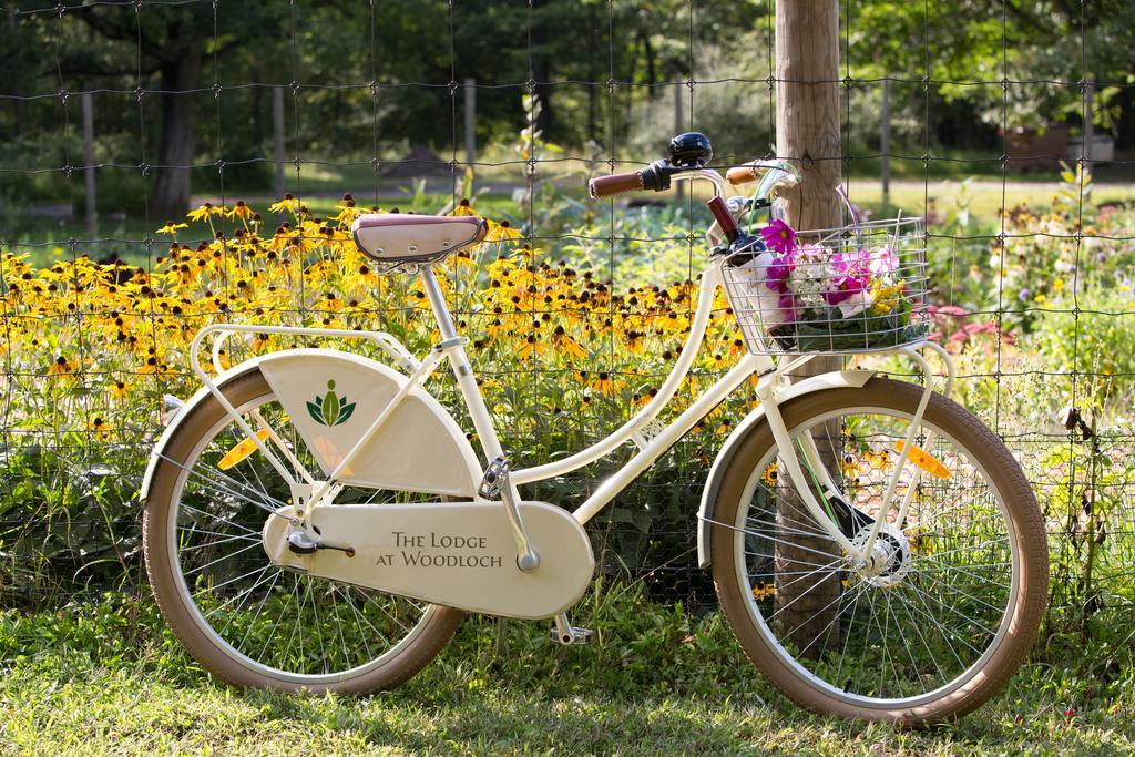 The Lodge At Woodloch Hawley ภายนอก รูปภาพ