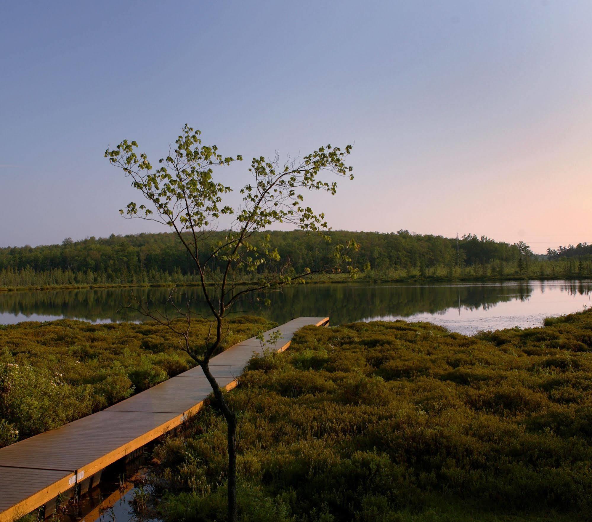 The Lodge At Woodloch Hawley ภายนอก รูปภาพ